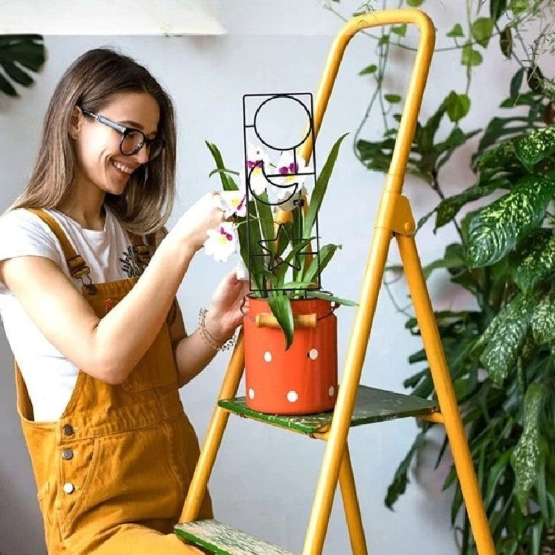 fancy pots for plants