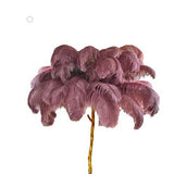 Lámpara de pie de plumas de avestruz
